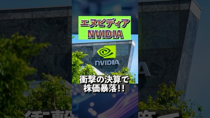 【エヌビディア決算失敗？】人気米国株、NVIDIAが大幅下落！＜アメリカ、S&P500、NVDA #投資 #資産運用