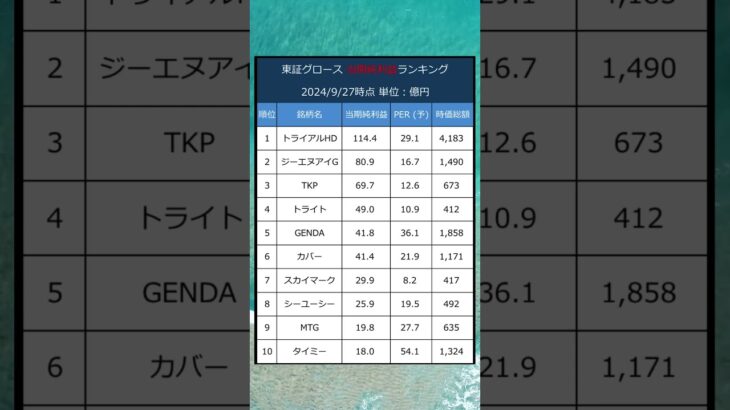 【成長株】東証 東証グロース市場 当期純利益ランキング  #ビジネス #株式投資 #就活 #日本株 #グルース #成長株 #スタートアップ