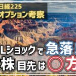 【日経225オプション考察】10/17 ASMLショックで急落！ 日本株の目先方向はズバリ ◯だ！