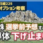 【日経225オプション考察】10/21 日本株 選挙前予想するゾ！ そして半導体は下げ止まり期待！