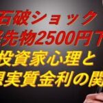 【石破ショック：日経先物2400円下落原因分析】新米NISA民必見！？予想実質金利と中立金利による投資家行動原理【VOICEVOX(概要欄クレジットあり)】