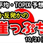 【日経平均・TOPIX】横ばい予想とするものの日本株は崖っぷち！予想が外れて調整すれば強い下落の可能性【週間日本株予想 2024/10/21～】