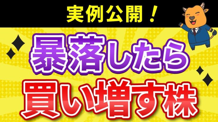 【有料級】暴落時に買い増す株と実践テクニック