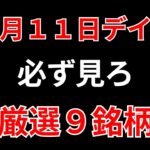 【見逃し厳禁】11月11日の超有望株はコレ！！SEKのデイトレ テクニック