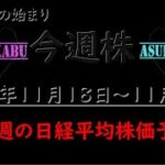 【今週株】今週の日経平均株価予想　2024年11月18日～11月22日　日経暴落へ一直線の巻(*’ω’*)