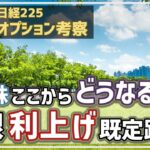 【日経225オプション考察】11/1 日本株 11月相場はどうなるの？ 日銀は利上げが既定路線に！