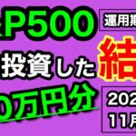 【NISA/投資信託】eMAXIS Slim 米国株式(S&P500) 410万円を投資した結果 2年7ヶ月目の積立投資運用成績公開(2024年11月4週目時点)