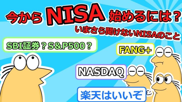 【新NISA】新nisaに詳しい奴きてくれ【投資スレ】