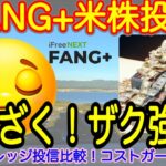 【米国株🇺🇸S&P500】FANG+投信予想 米国株指数レバレッジ投信年初来比較！みんな無視できる？来週はクラウドストライク決算まつ！(S&P500 NASDAQ100 レバナス  Mag7)