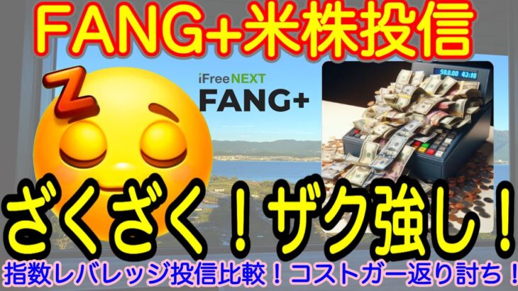 【米国株🇺🇸S&P500】FANG+投信予想 米国株指数レバレッジ投信年初来比較！みんな無視できる？来週はクラウドストライク決算まつ！(S&P500 NASDAQ100 レバナス  Mag7)