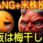 【米国株🇺🇸S&P500】FANG+投信予想 感謝してます！投信価格の発表あります！ふりかけではなく梅干しが乗ってます！ハイハイ投信もここ！(S&P500 NASDAQ100 レバナス  Mag7)