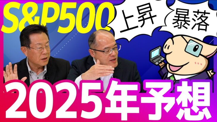 【2025年の予想】S＆P500は来年どうなる…？米国株の投資戦略を考える。