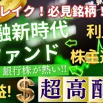 【ＮＩＳＡ成長投資枠✖日本の金融株式！】【銀行株✖高配当！】#62 ダイワ金融新時代ファンド／高配当投信／日本株式／高配当株／銀行株／NISA成長投資枠／メガバンク／株主還元