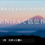 【新NISA/Vポイント/投資信託/株】日本株の低位株を新NISAで遊んでいます。スポット買い