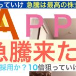 APPアップラビン「急騰来た」SP500への期待で株価は一気に上昇【全力次のテスラ・パランティア】テンバガー狙え