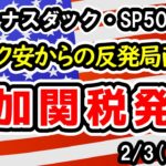 【ダウ・ナスダック・SP500】DeepSeekショック回復前に襲い来るカナダ・メキシコ・中国への関税、決算期待あるも雇用統計年次改定やISM景気指数も警戒【週間アメリカ株予想 2025/2/3～】