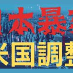 米国調整/日本暴落　日本株と米国株投資戦略