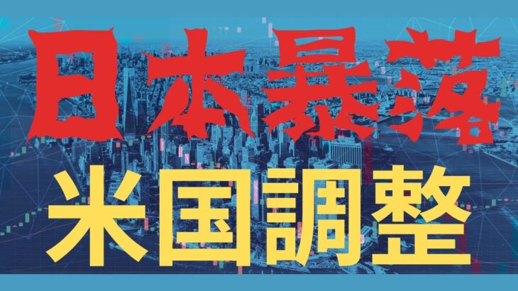 米国調整/日本暴落　日本株と米国株投資戦略