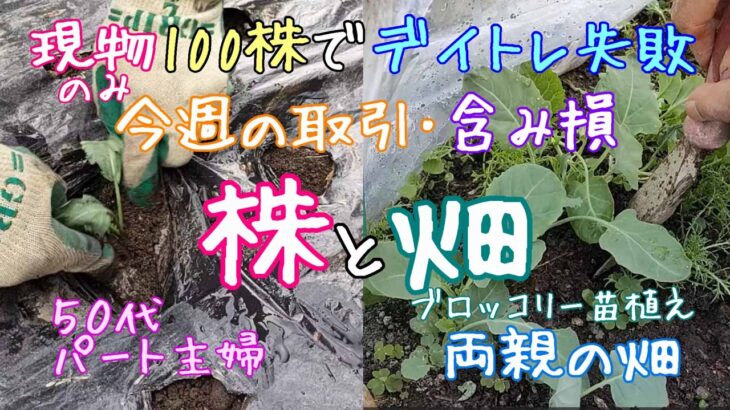 【トライアルで大損/現物のみ100株でデイトレ失敗！】今週の取引･含み損/☆17日から21日の日経平均株価と両親の畑の様子