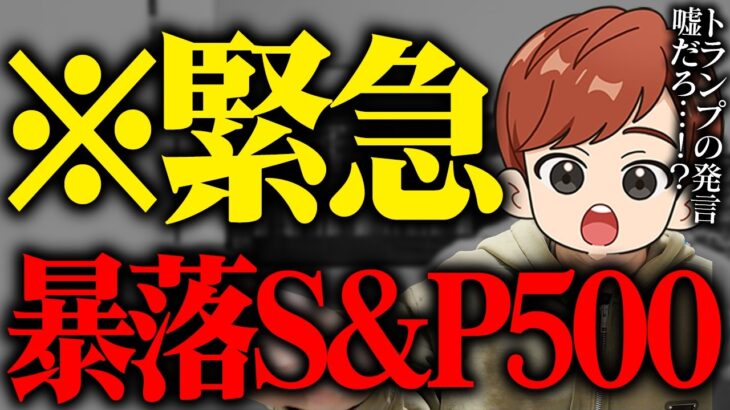 【緊急】S&P500の暴落サインが点灯しました…大暴落の予兆？新NISAで米国株どうしたらいい？【FIRE 下落相場 トランプ政策】